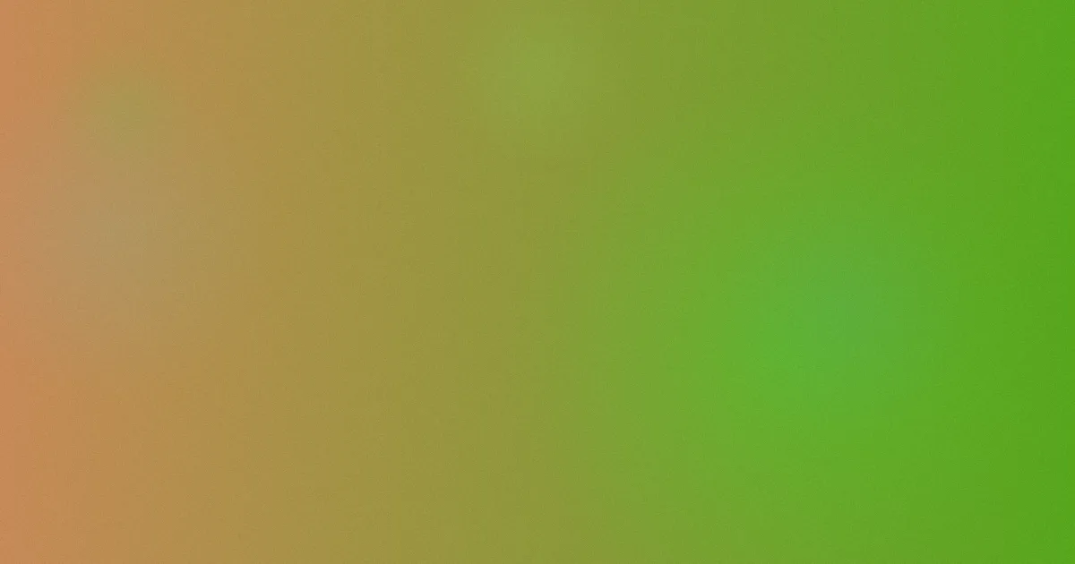 家乡避坑：看懂人情账